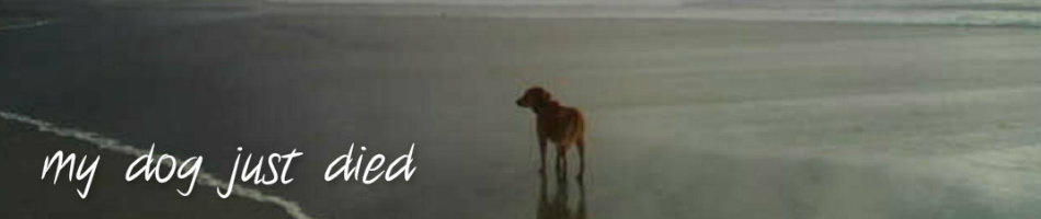 my dog just died